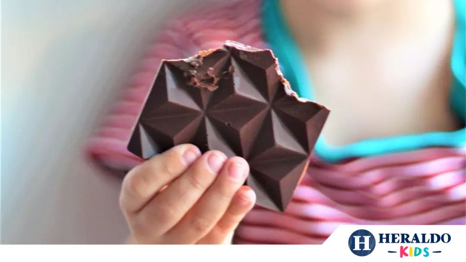 ¿El chocolate es bueno o malo? Foto: Especial