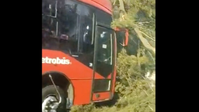 Metrobús choca contra árbol en la GAM; reportan varias personas heridas: VIDEO