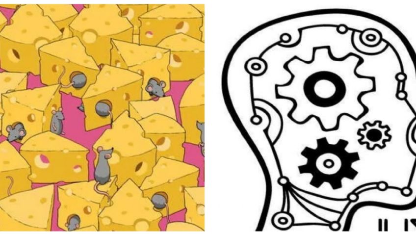 Acertijo visual: Encuentra el dado entre los quesos en 10 segundos, el 95% no puede hacerlo