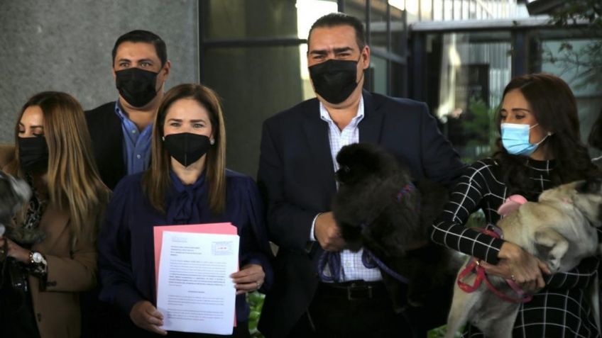 Diputados del PRI buscan penas más duras contra maltrato animal en Nuevo León