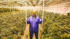 Mike Tyson consiguió un nuevo trabajo en el mundo del cannabis; ¿a qué se va a dedicar?