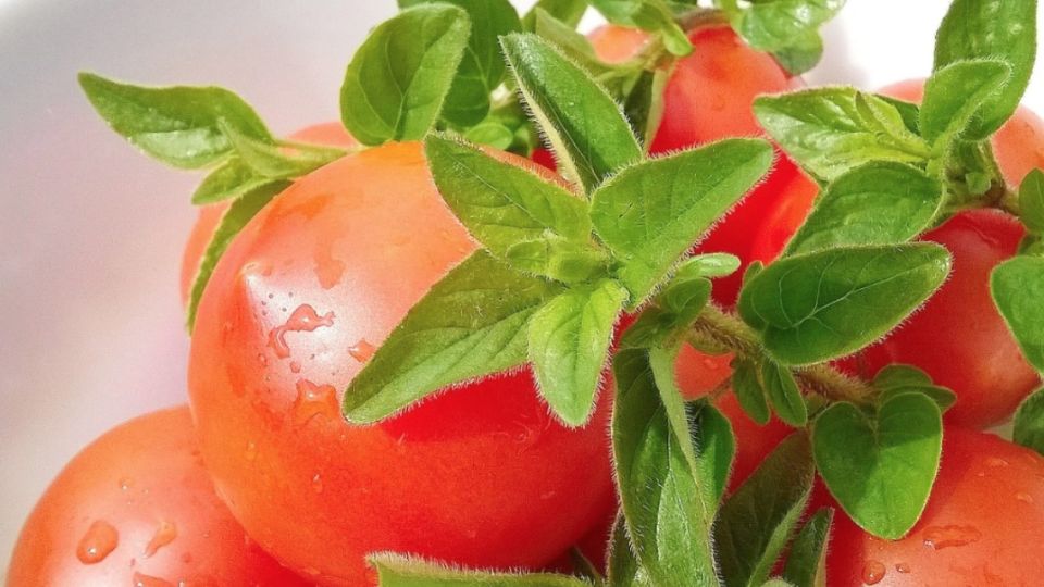 el jugo de tomate ayuda a reducir los niveles de colesterol en la sangre 
FOTO: Twitter