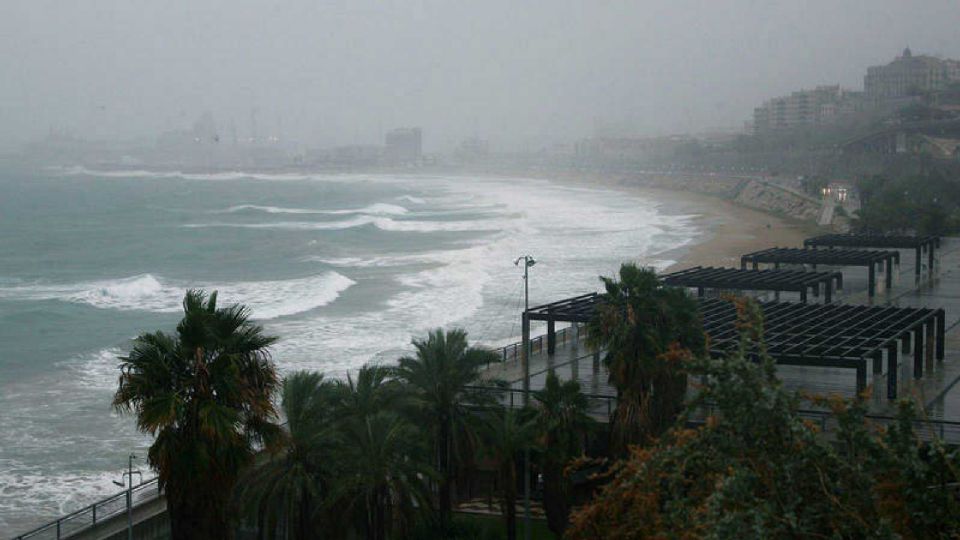 El Mediterráneo se ha visto muy afectado. Foto: Especial.