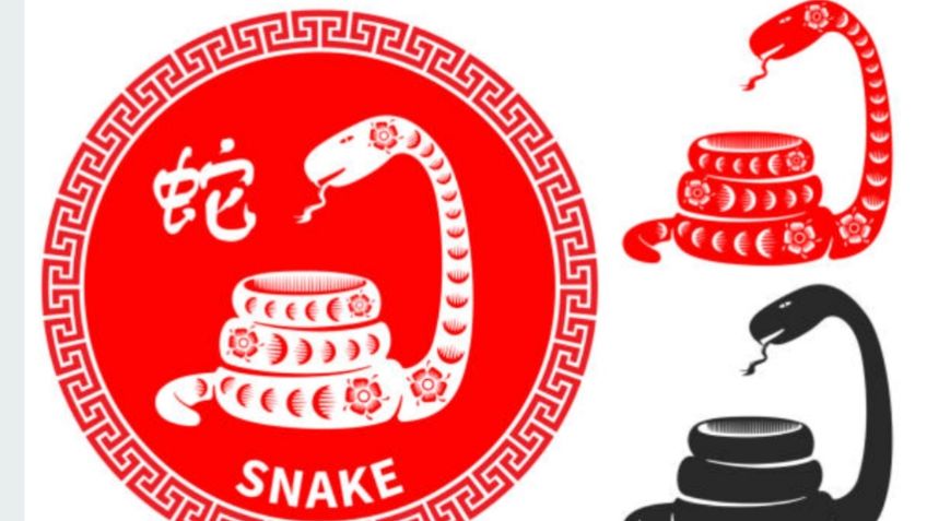 Horóscopo Chino: Disciplinada y metódica; conoce los rasgos de la "Serpiente" en el zodiaco oriental