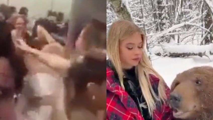 Posada termina a golpes por regalo sensual y modelo besa a oso gigante: Los mejores TikTok de este 15 de diciembre