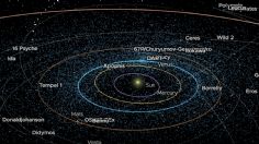 ¿Quieres ver meteoritos en tiempo real? NASA lanza un MAPA interactivo