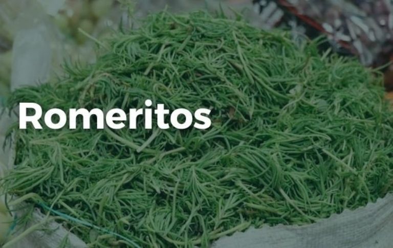 romertios