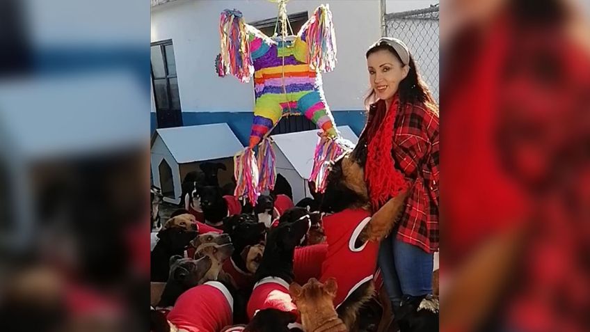 Perritos viven su propia POSADA en un refugio con piñatas y disfraces de Navidad | VIDEO