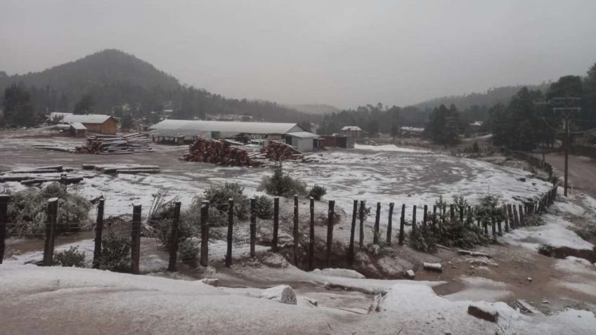 FRENTE FRÍO 14: Durango se cubre de nieve y pone en alerta a las autoridades | FOTOS