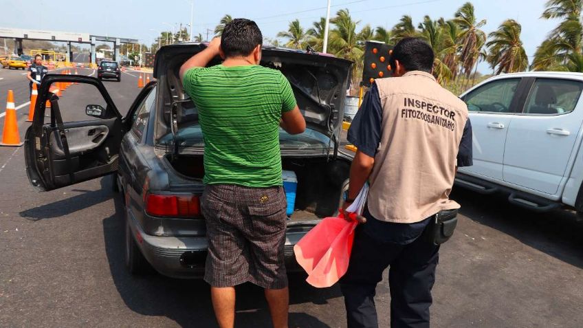 Senasica refuerza inspecciones en puertos y fronteras durante las vacaciones