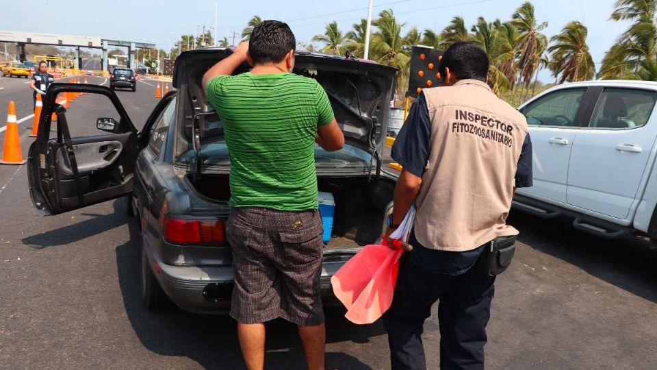 Los agentes revisan las pertenencias de todos los visitantes