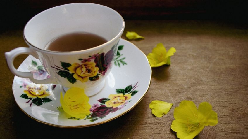 Té de ruda: Para qué sirve y cuáles son los beneficios para la salud