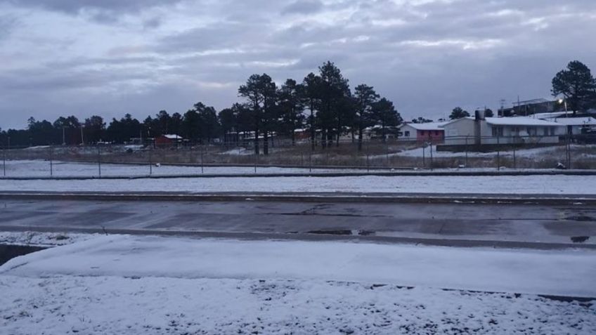 Caen nevadas en tres estados; nieve alcanza hasta 4 centímetros | VIDEOS