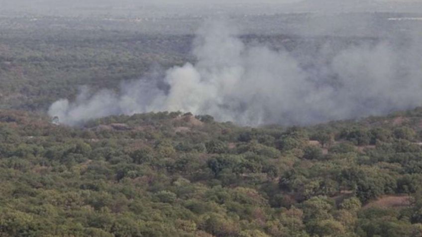 Dan cinco años de prisión a bombero forestal que provocó incendio en La Primavera