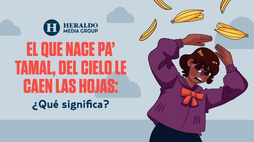 Refranes mexicanos: "El que nace pa' tamal, del cielo le caen las hojas", conoce su significado