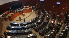 Senadores de oposición promueven acción de inconstitucionalidad contra decretazo