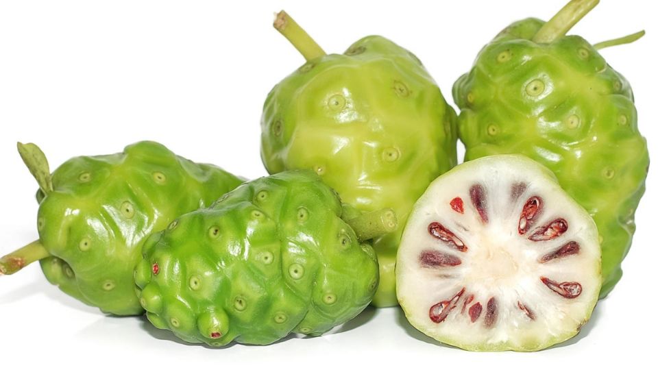 El noni también es concocida como la fruta del diablo. Foto: Especial