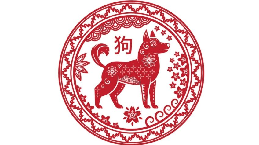 Horóscopo Chino: Protectores, fieles y humildes; conoce los rasgos del "Perro" en el zodiaco oriental