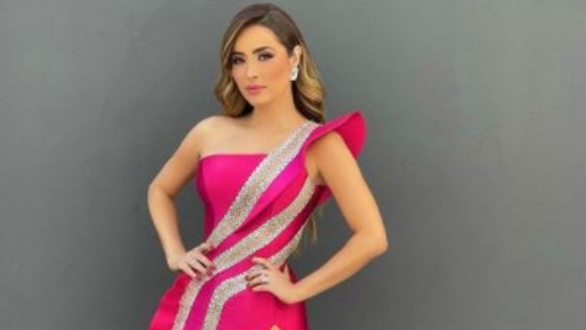 Hermosa: Cynthia Rodríguez seduce con medias de fantasía e impone moda en color magenta