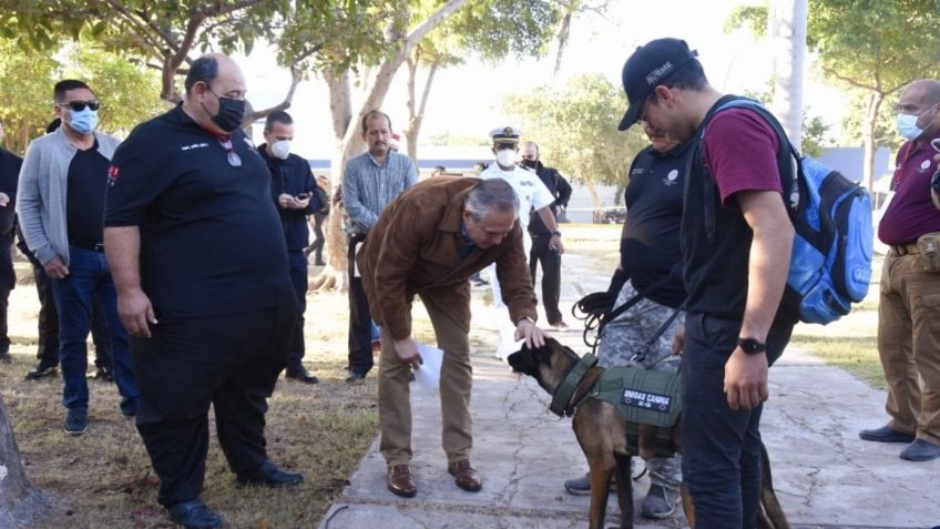 Protección Civil Ahome en Sinaloa ahora cuenta con perro para búsqueda y rescate de personas