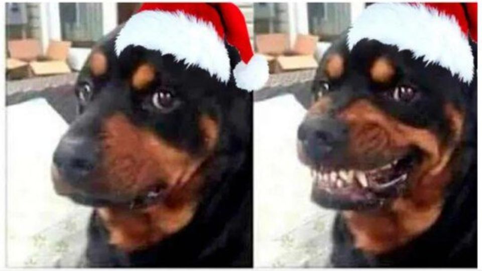 La celebración de la Navidad no ha pasado desapercibida por los memes (Foto: Especial)