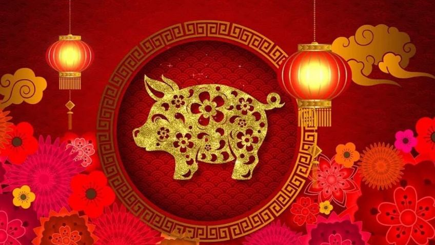 Horóscopo chino: Protectores y los mejores amigos; conoce los rasgos del "Cerdo" en el zodiaco oriental