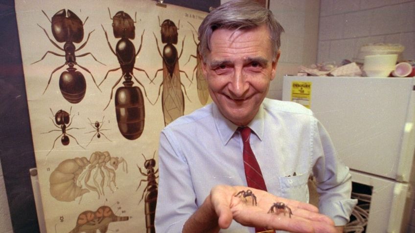 Muere a los 92 años Edward O. Wilson, considerado como el heredero de Charles Darwin