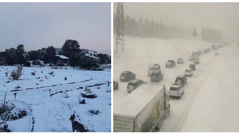 Las Nevadas en Baja California han provocado el cierre de carreteras y otras vías 
FOTO: Especial