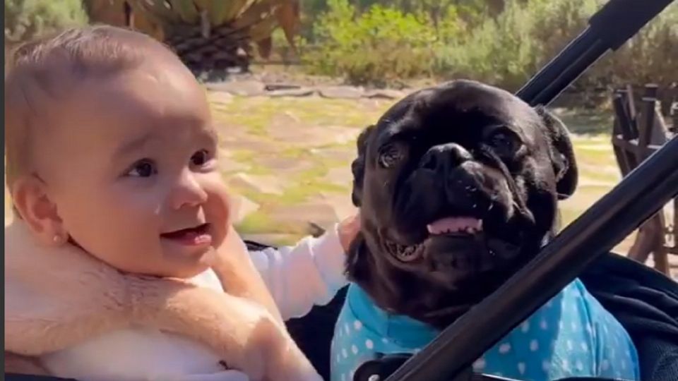 La bebé Cayetana comparte besos y abrazos con su perro Macayoyo en El Rancho Tres Potrillos. Foto: Instagram