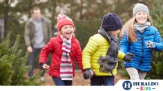 Vacaciones de invierno: 10 actividades para disfrutar tus hijos fuera de casa