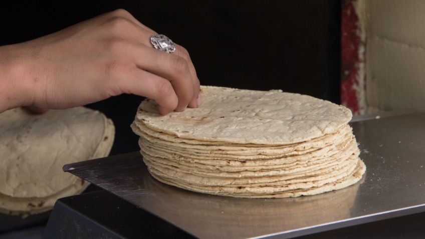 Productores descartan aumento en el precio de tortilla para enero