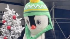 ¿Qué tienes pingüino? Botarga se hace viral por su extraña reacción en un desfile navideño | VIDEO