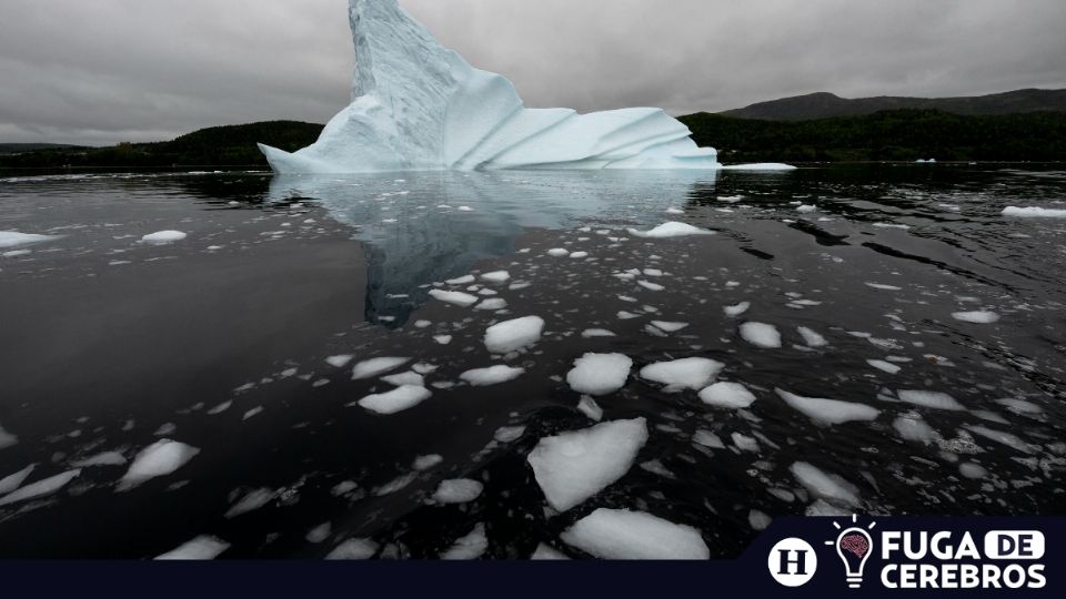 México no solo debe proponer, sino poner en práctica Foto: AFP