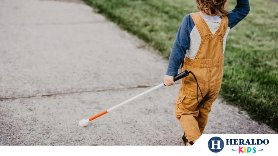 Los tipos de discapacidad que sufren los niños Foto: Especial