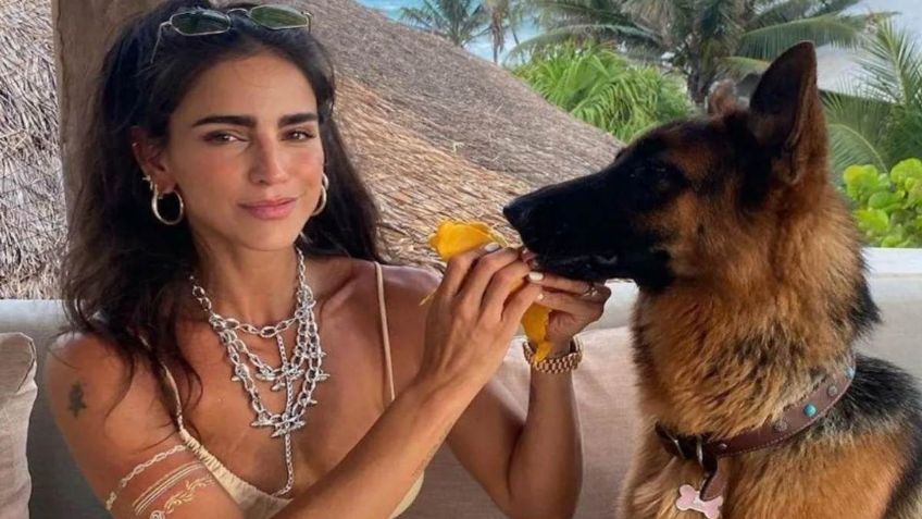 Bárbara de Regil: así cuida a su perro SIMBA para evitar que le pase lo mismo a que a NALA