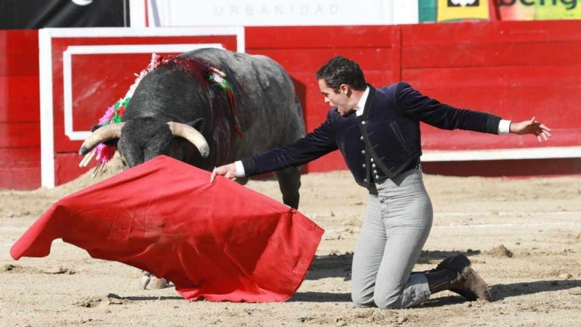 Prohibición de corridas de toros en la CDMX continúa en vilo