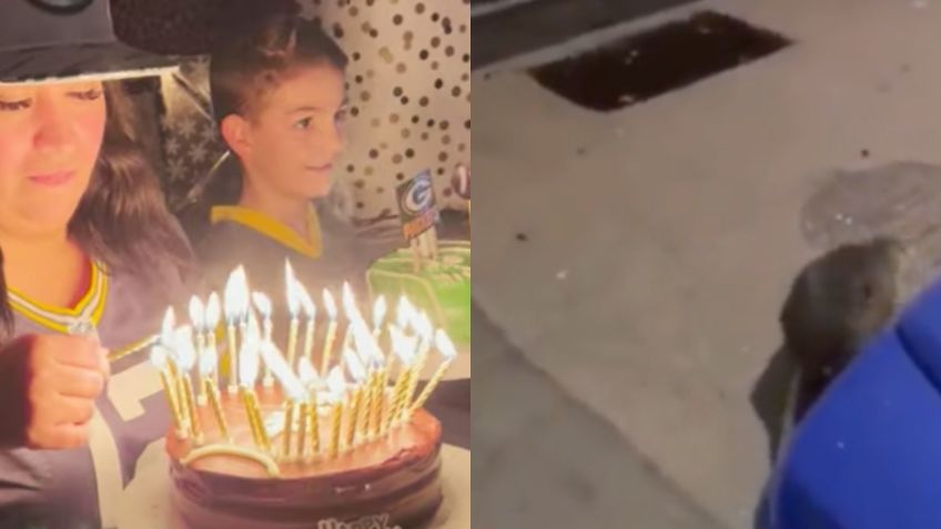 Joven se incendia con su pastel de cumpleaños y captan rata gigante en EU: Los mejores TikTok del 6 de diciembre