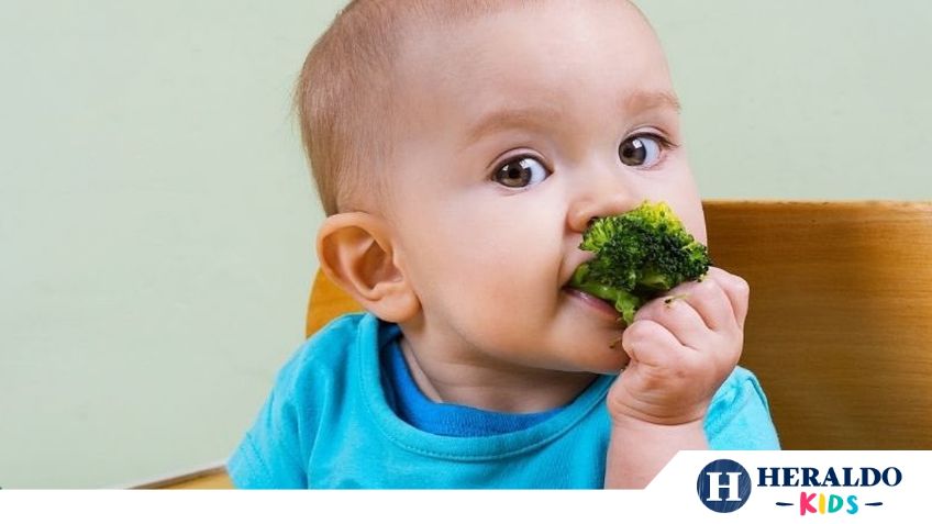 Salud Infantil: Alimentos que son ricos en vitamina B, conoce sus beneficios