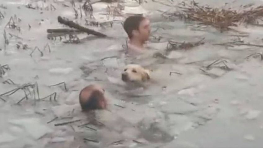 Policías rescatan a perrito de morir ahogado al quedar atrapado en un estanque congelado: VIDEO