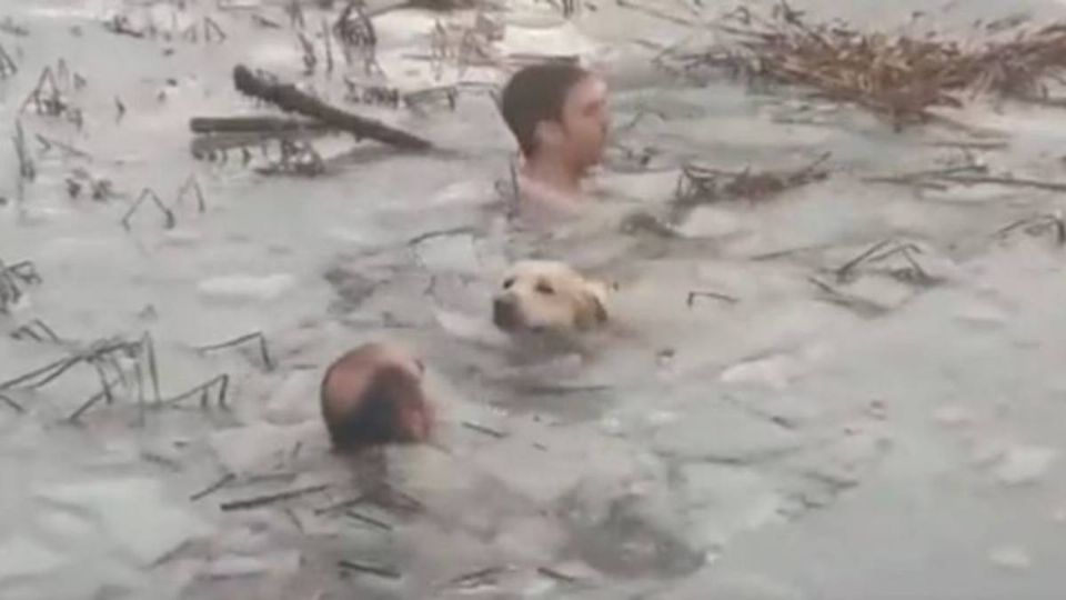 El perro fue rescatado por la policía. Foto: Captura de pantalla