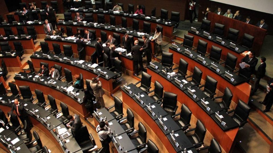 Diversos legisladores se pronunciaron a favor de un mayor debate.