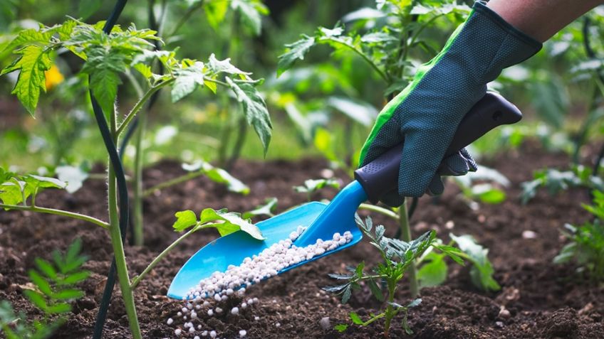 Arranca primera Expo Fertilizantes en México