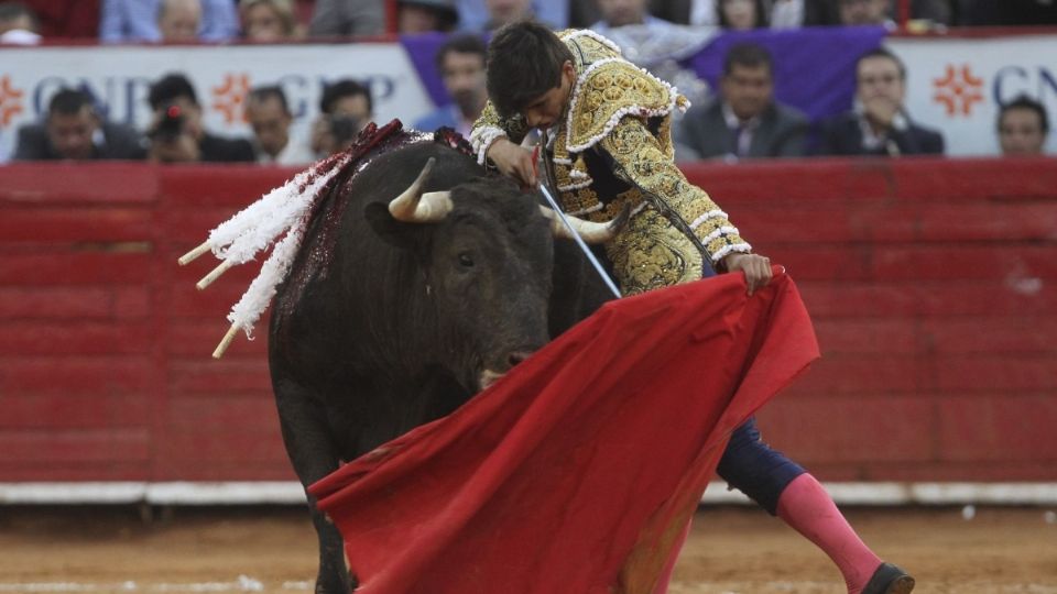 Nuevo León aprueba que peleas de gallos y corridas de toros sean patrimonio cultural