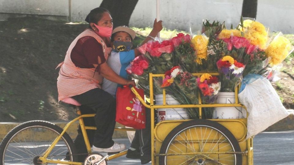 El estudio detectó que los gobiernos han disminuido los programas y 48% de los encuestados indicó necesitaba capital para retomar sus actividades (Foto: Cuartoscuro)