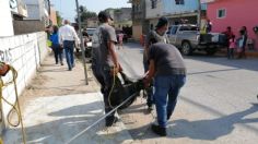 Animales salvajes ponen en alerta a Tamaulipas; fueron rescatados por las autoridades  | VIDEO