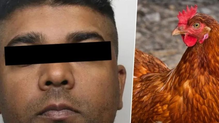 Reducen sentencia a hombre que tenía "relaciones" con gallinas