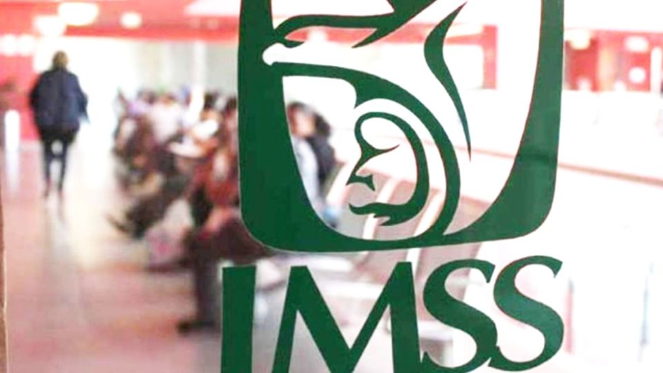 Todo lo que debes saber sobre el seguro voluntario del IMSS. Foto: Especial