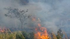 Estas son las recomendaciones para evitar incendios forestales en Chiapas