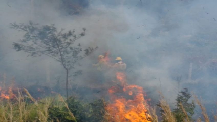 Estas son las recomendaciones para evitar incendios forestales en Chiapas