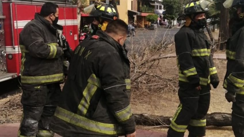 Suman 9 afectaciones en distintas Alcaldías de la CDMX por fuertes vientos